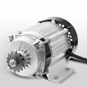 750W Electric Brushless DC Motor Kit 48V 2700rpm With Upgraded Speed Controller (Option: Silver)